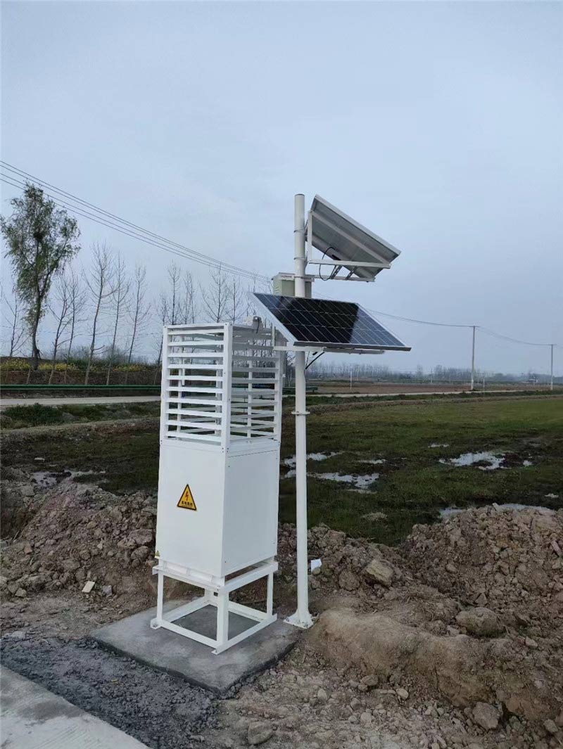 蟲情監(jiān)測(cè) (2).jpg