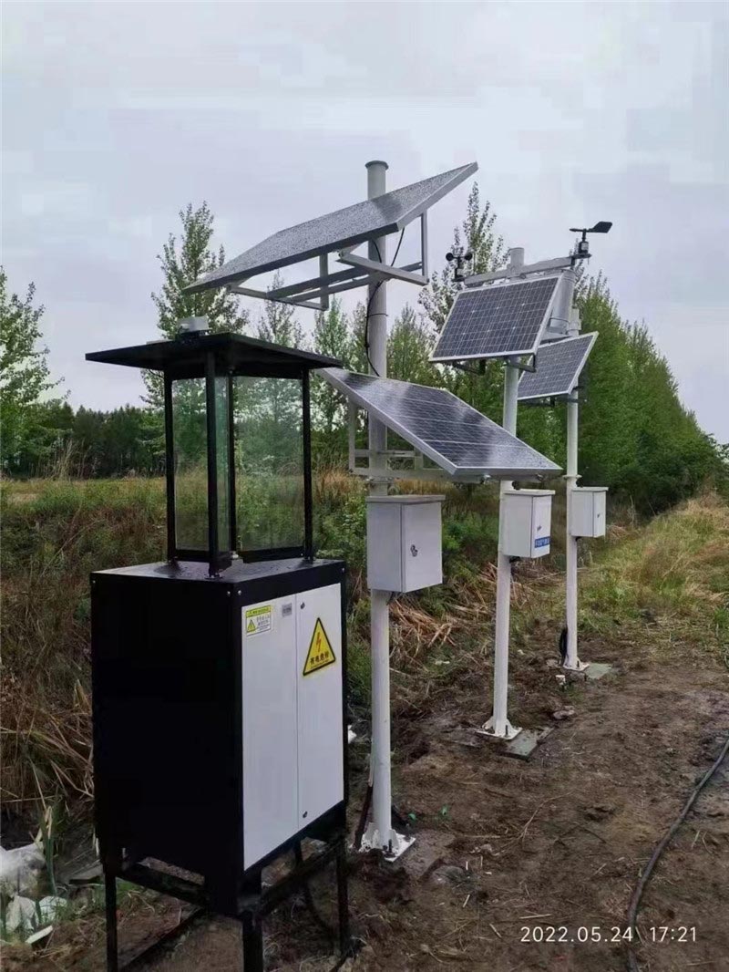 蟲情監(jiān)測(cè) (4).jpg